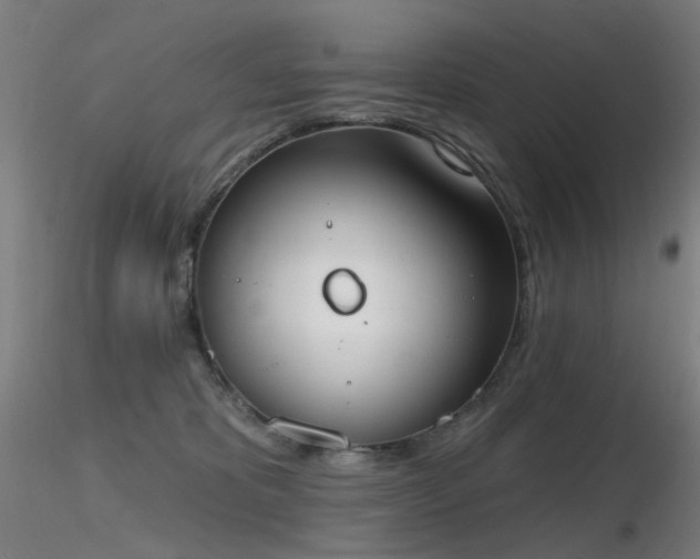 X0000116830325200912181440