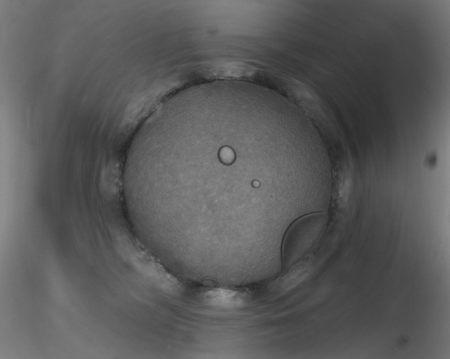 X0000116830326200912181440