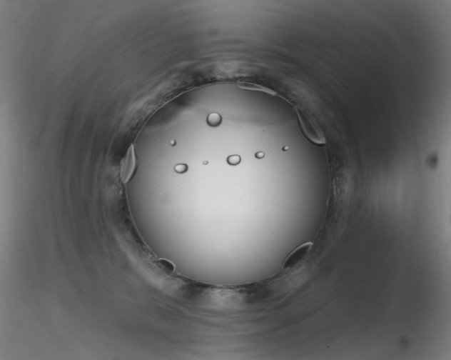 X0000116830327200912181440