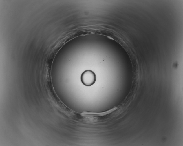 X0000116830328200912181440