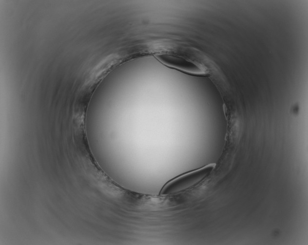 X0000116830329200912181440