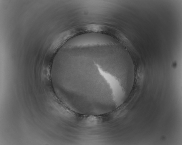 X0000116830330200912181440