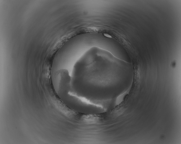 X0000116830331200912181440