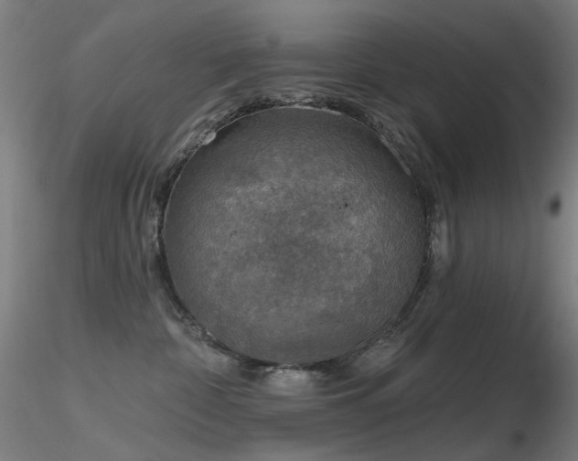 X0000116830332200912181440