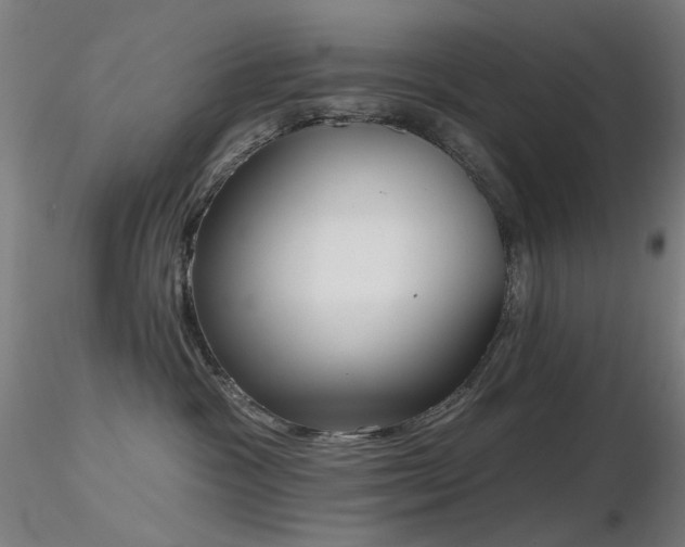 X0000116830333200912181440