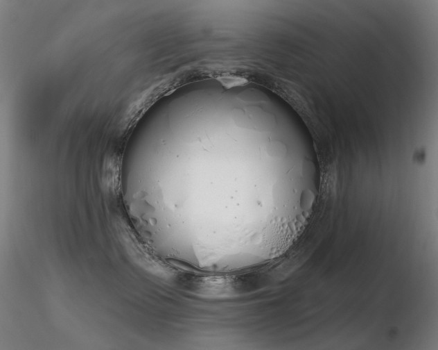 X0000116830335200912181440
