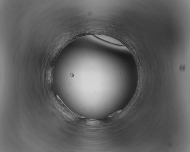 X0000116830336200912181440