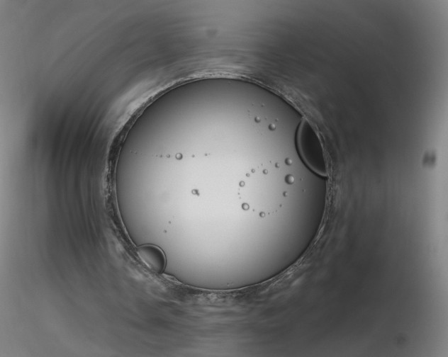 X0000116830338200912181439