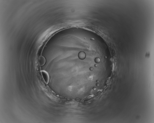 X0000116830339200912181439