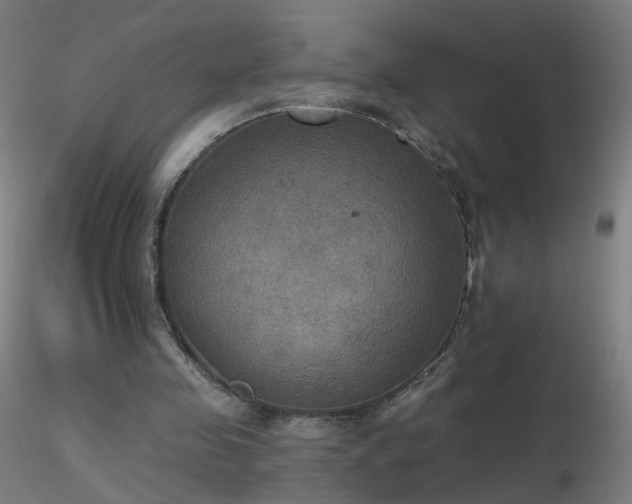 X0000116830341200912181439
