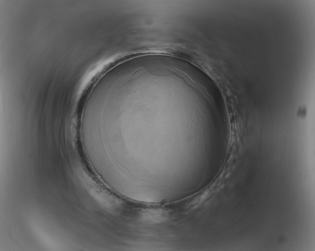 X0000116830342200912181439