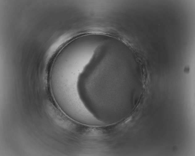 X0000116830343200912181439