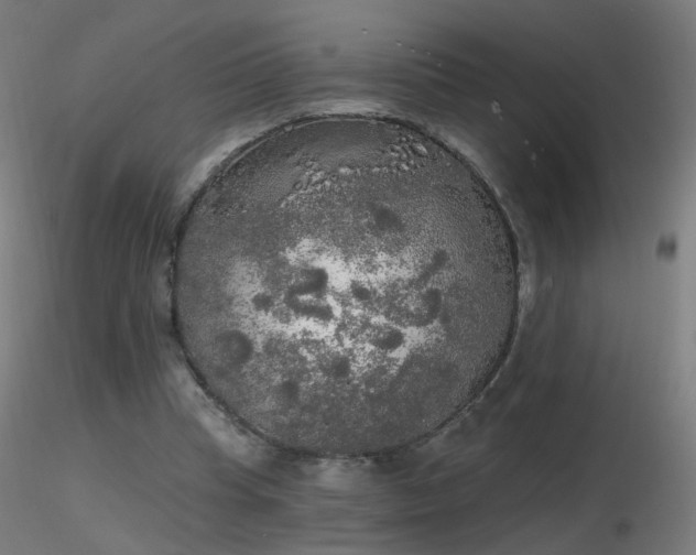 X0000116830345200912181439