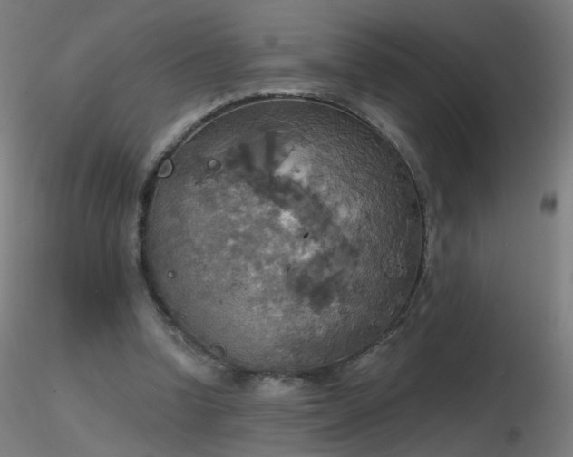 X0000116830346200912181439