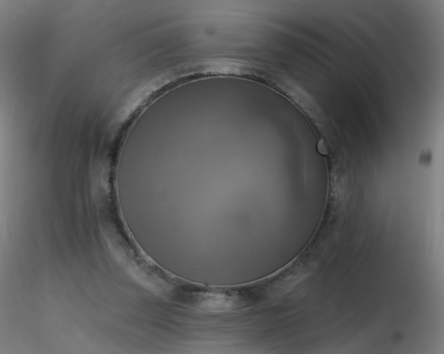 X0000116830347200912181439