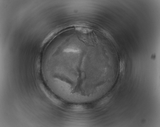 X0000116830349200912181439