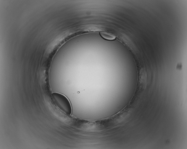 X0000116830351200912181439