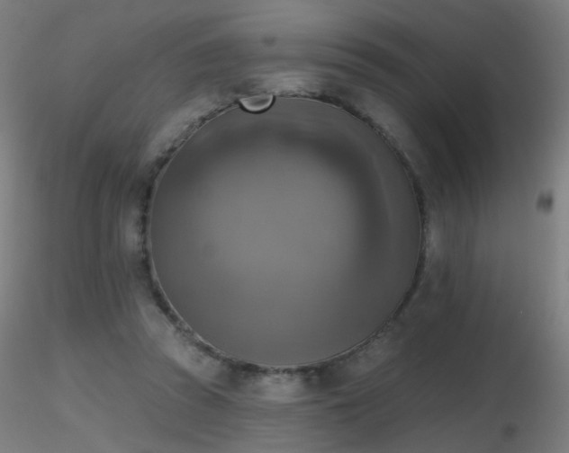X0000116830353200912181439