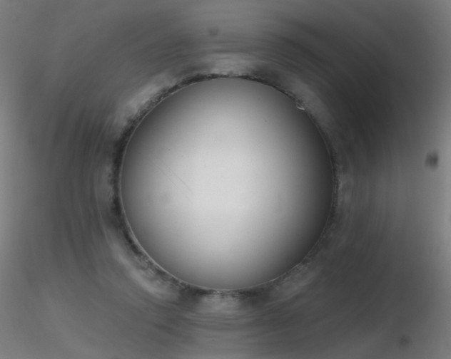 X0000116830354200912181439