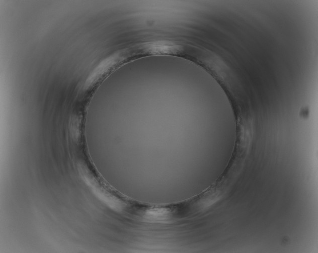 X0000116830357200912181439