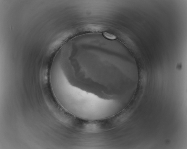 X0000116830358200912181439