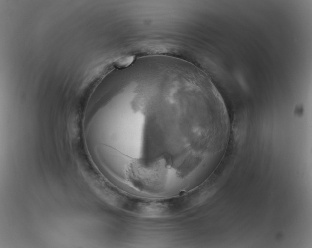 X0000116830359200912181439