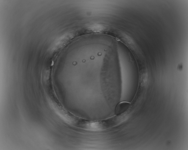 X0000116830365200912181439