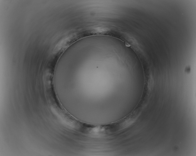 X0000116830366200912181439