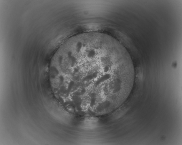 X0000116830369200912181439