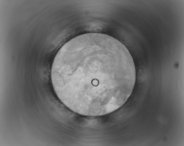 X0000116830370200912181439