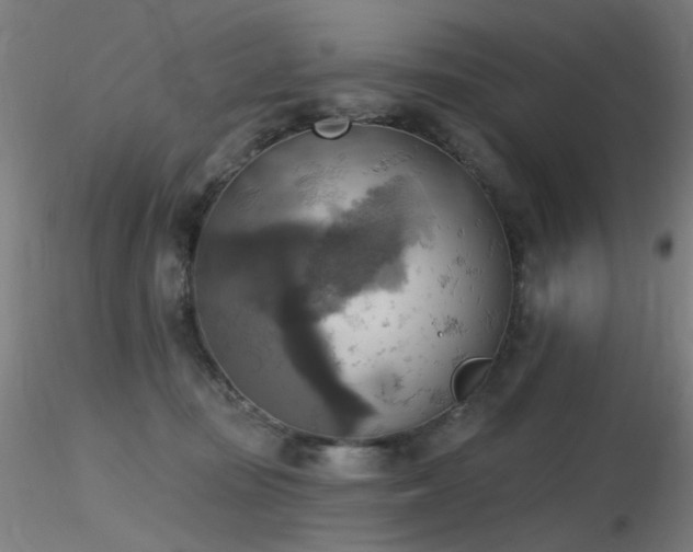 X0000116830371200912181439