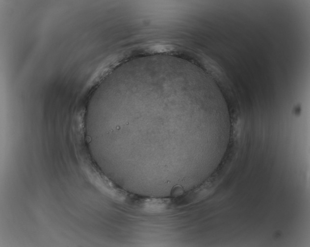 X0000116830373200912181439
