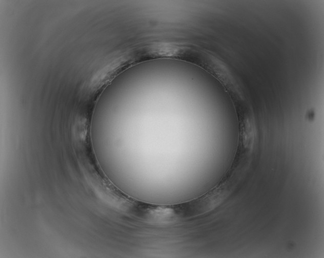 X0000116830374200912181439