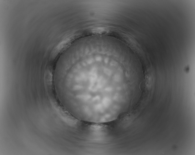 X0000116830375200912181439