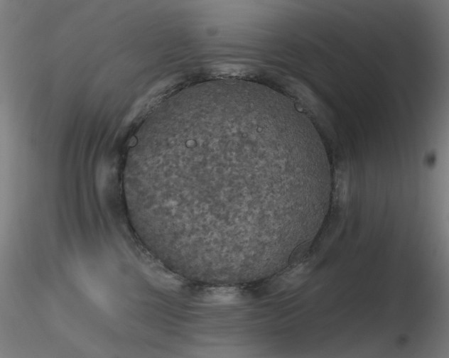 X0000116830377200912181440