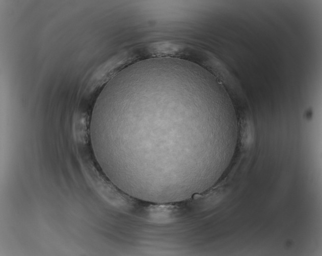X0000116830378200912181440