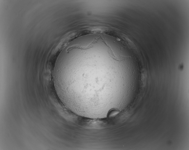 X0000116830379200912181440
