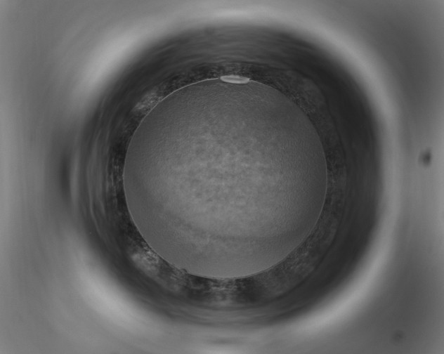 X0000116830382200912181440
