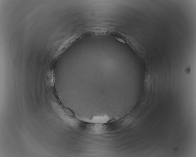 X0000116830383200912181440