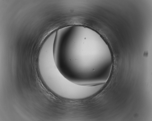 X0000116830386200912181439