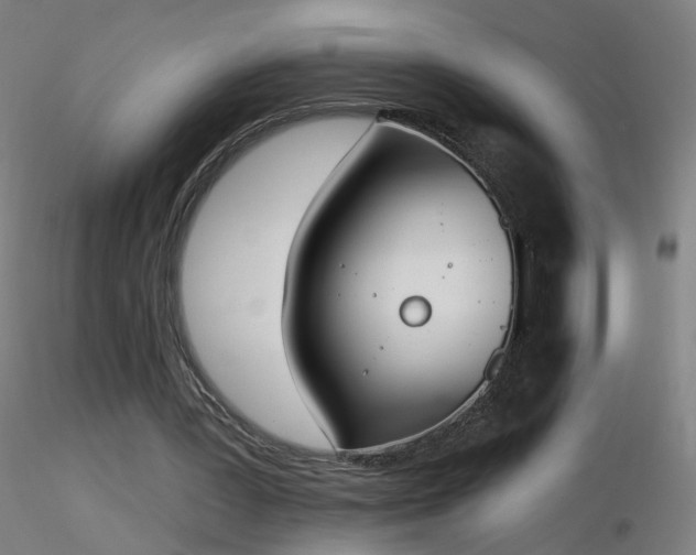X0000116830387200912181439