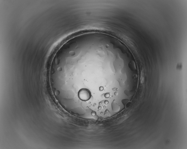 X0000116830388200912181439