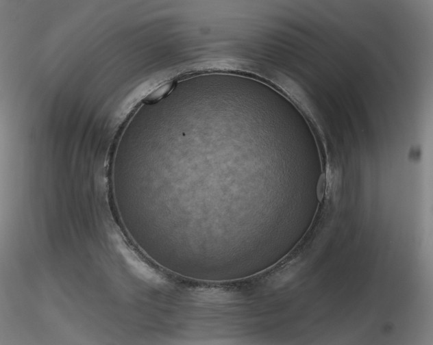 X0000116830389200912181439