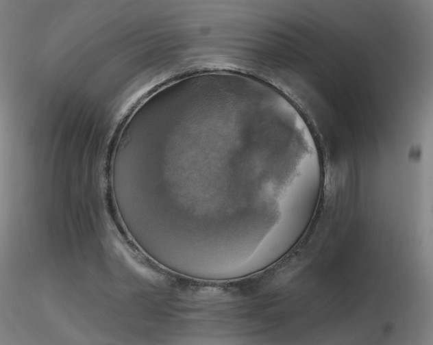 X0000116830390200912181439