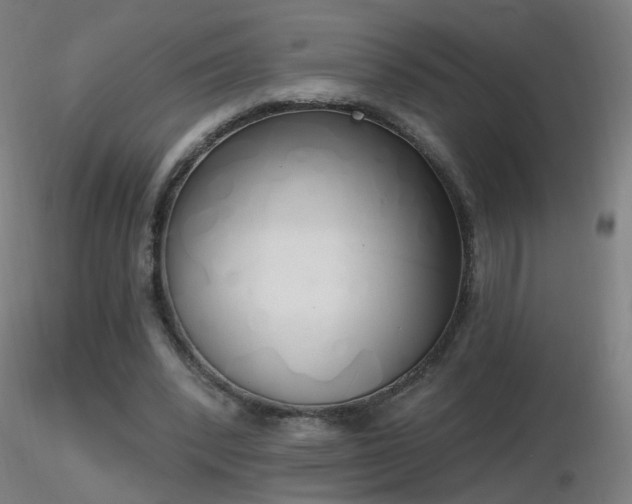 X0000116830392200912181439