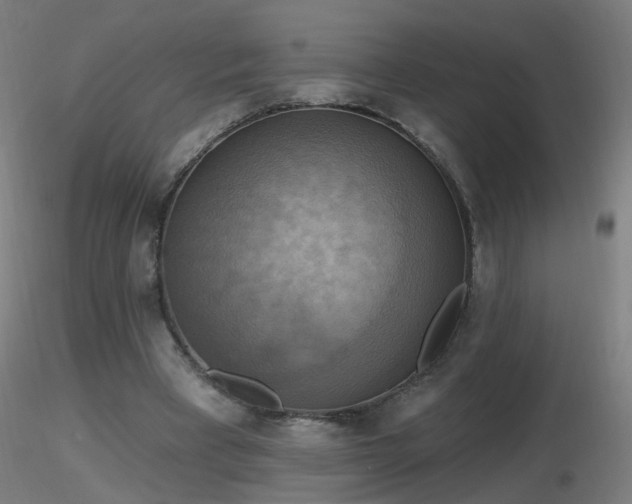 X0000116830393200912181439