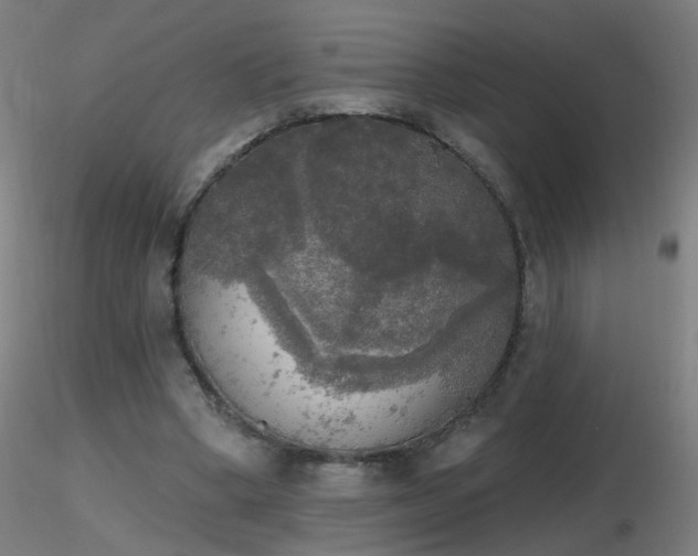 X0000116830394200912181439
