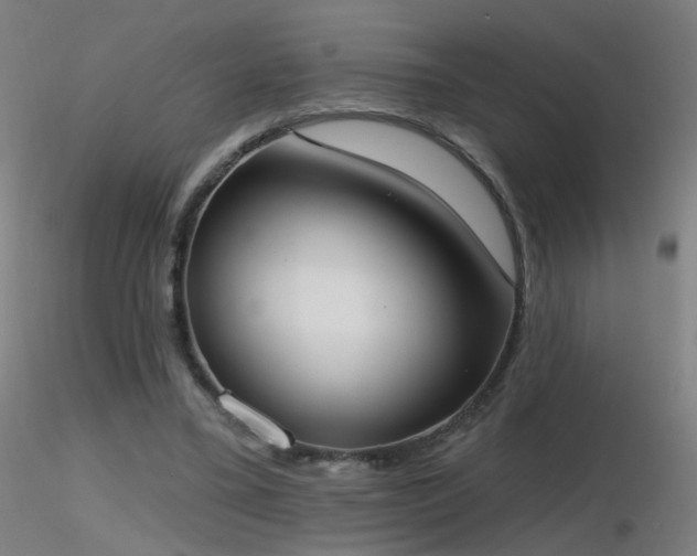 X0000116830395200912181439