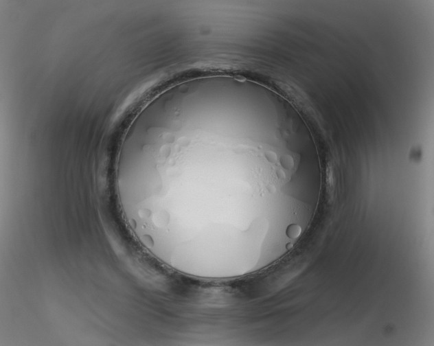 X0000116830396200912181439