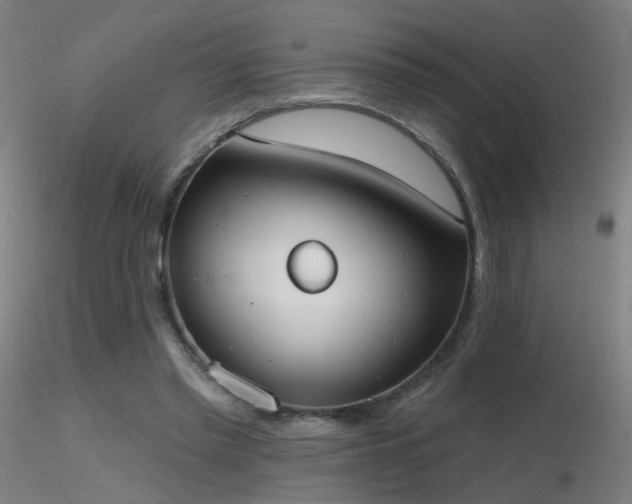 X0000116830397200912181439
